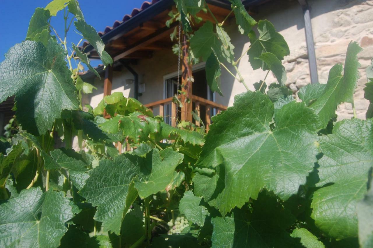 Casa De Flores Ribeira Sacra