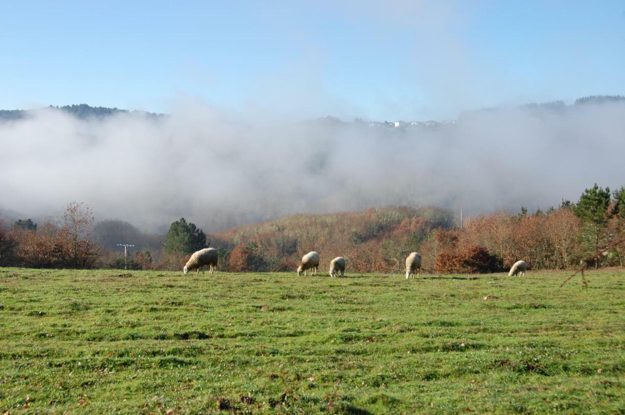 Casa De Flores Ribeira Sacra *